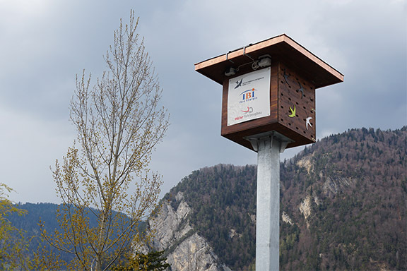 news_vogelturm.jpg 50 Nistplätze für Mauersegler